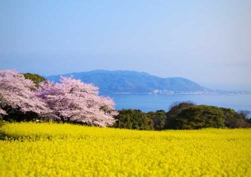 風景