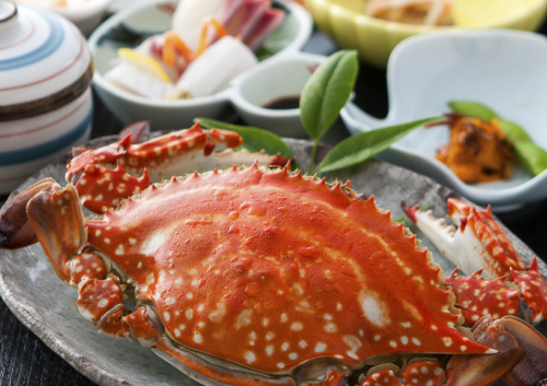 料理・メニュー撮影